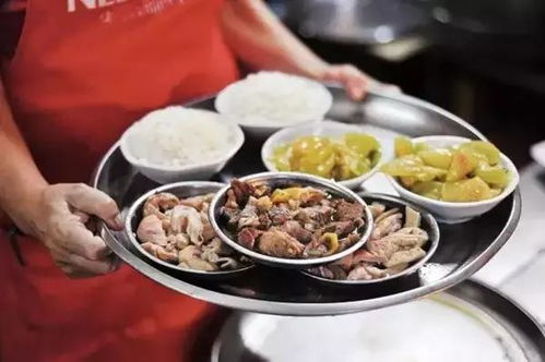 海南不止三亞 這個度假城市即將成為下個濟(jì)州島,趁火爆前速去